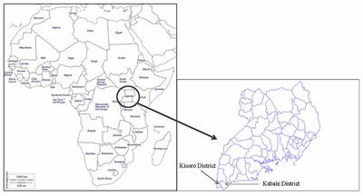 A Farm Typology for Adoption of Innovations in Potato Production in Southwestern Uganda